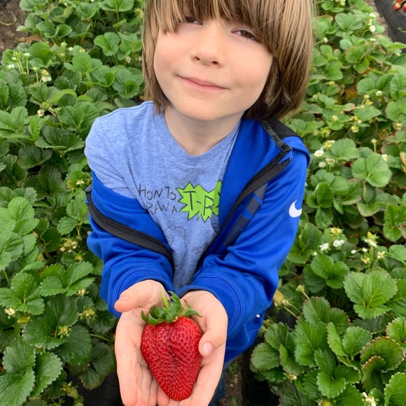 Meet your Posher, Natasha - Picture 7 of 9